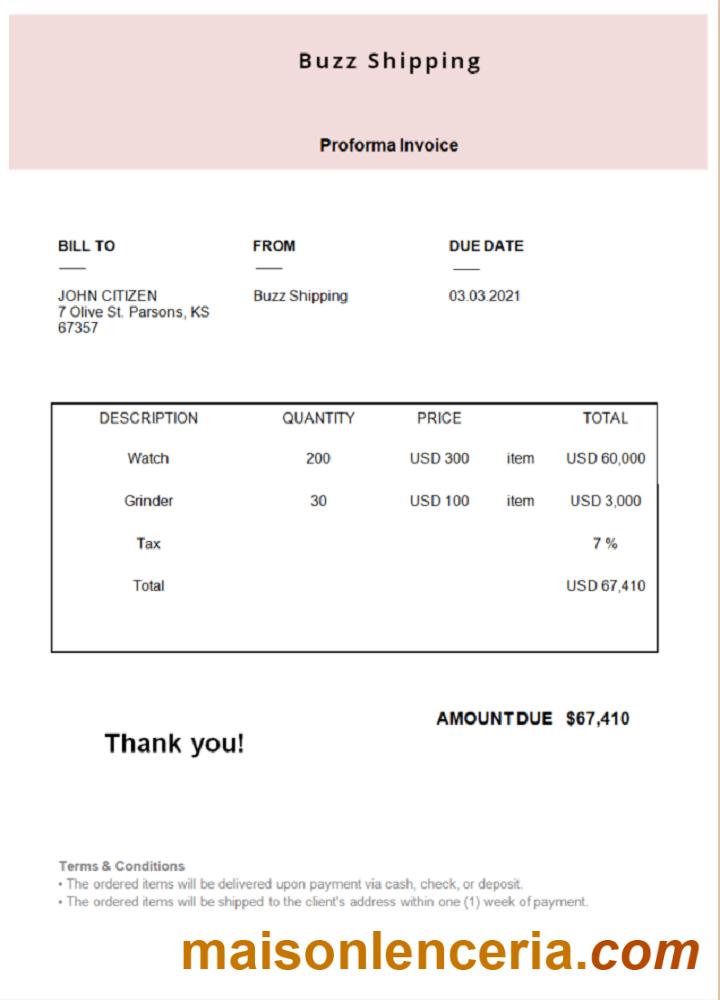 USA Buzz Shipping tekst faktury i szablon PDF